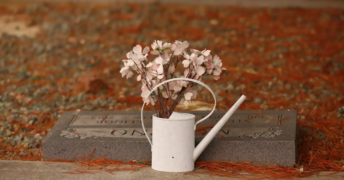 cremation explained peaceful flower memorial planning image for Evaheld — visual about Which cremation choices affect the final price? for Cremation Explained: Proc by Evaheld Memorials