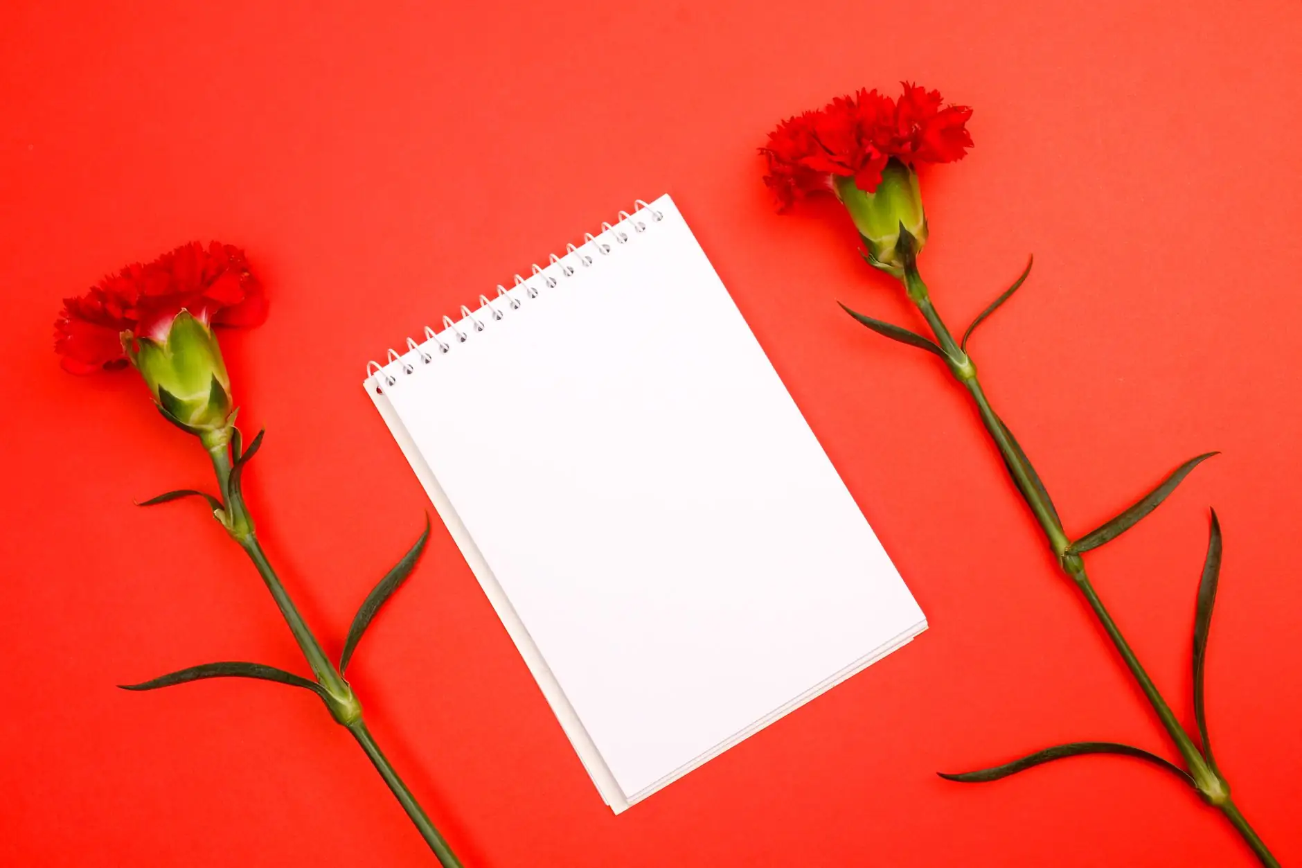 Average funeral cost planning notebook and flowers for Evaheld Memorials — visual about Average Funeral Cost and How to Pay for It for Average Funeral Cost and How by Evaheld Memorials