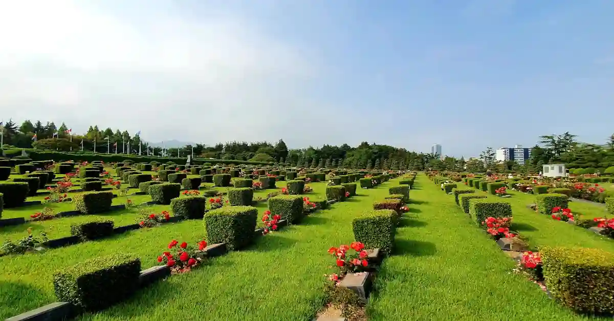 Direct cremation in 2025 peaceful cemetery path Evaheld Memorials — visual about Can direct cremation work with online or hybrid memorials? for Saying Goodbye, Simp by Evaheld Memorials