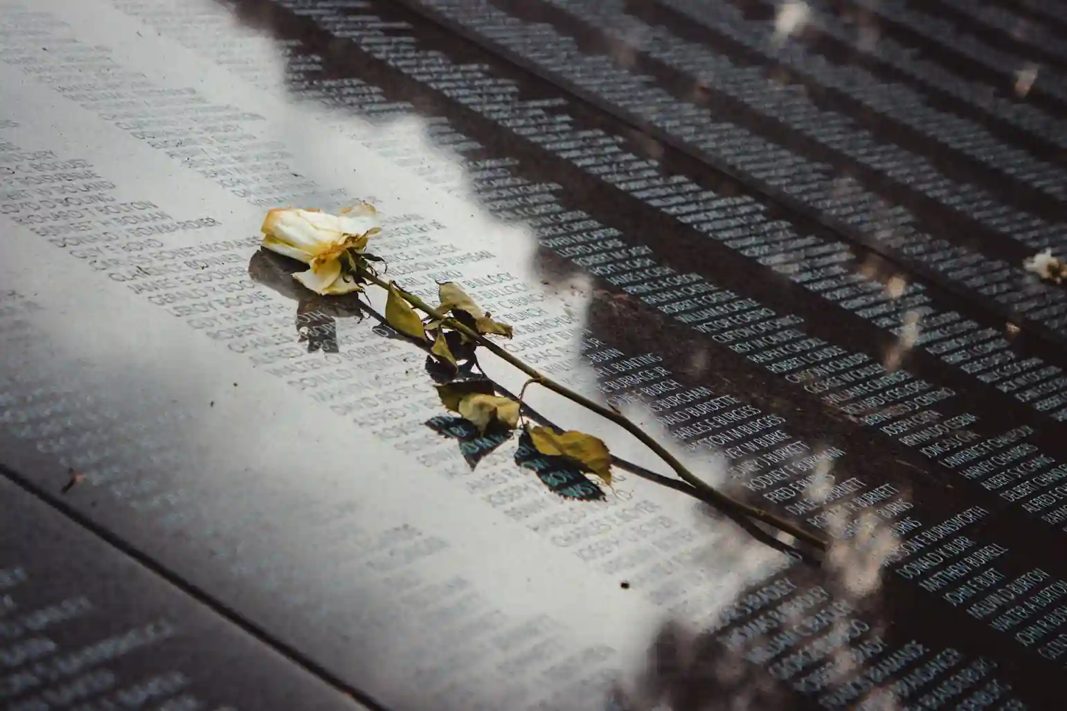 Are Online Memorials Appropriate? A Thoughtful Guide memorial guidance i — visual about Are Online Memorials Appropriate? A Thoughtful Guide for Are Online Memorial by Evaheld Memorials