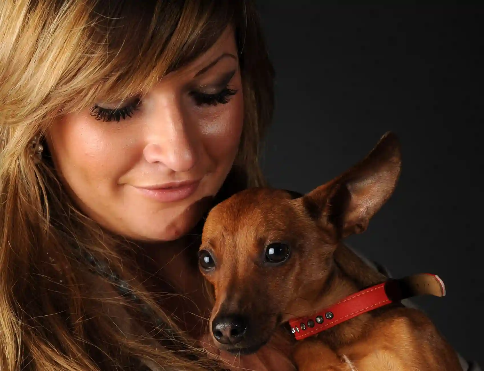 How to Create an Online Memorial for a Pet memorial guidance image Evahe — visual about How to Create an Online Memorial for a Pet for How to Create an Online Memor by Evaheld Memorials