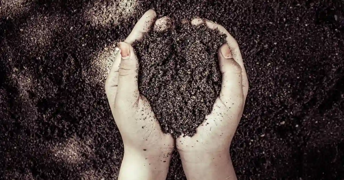 human composting soil held gently for Evaheld Memorials — visual about What does human composting mean? for What Is Human Composting? The Science Behind Recompositi by Evaheld Memorials