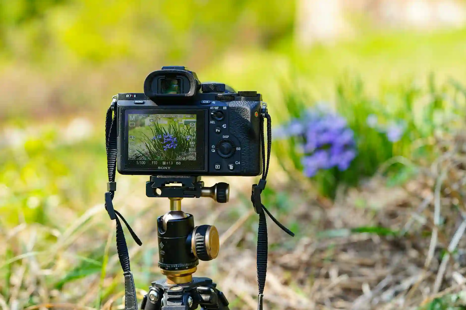 How to live stream a funeral tripod checklist for Evaheld Memorials — visual about How to Live Stream a Funeral: A Technical Checklist for How to Live Stream a Fune by Evaheld Memorials
