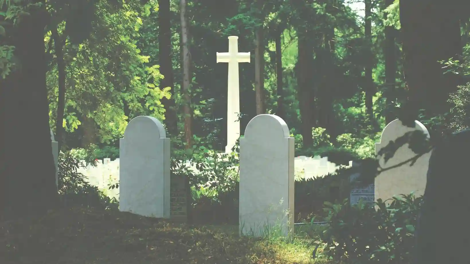 Green burial costs natural cemetery path for Evaheld Memorials — featured visual for Green Burials and Their Cost by Evaheld Memorials