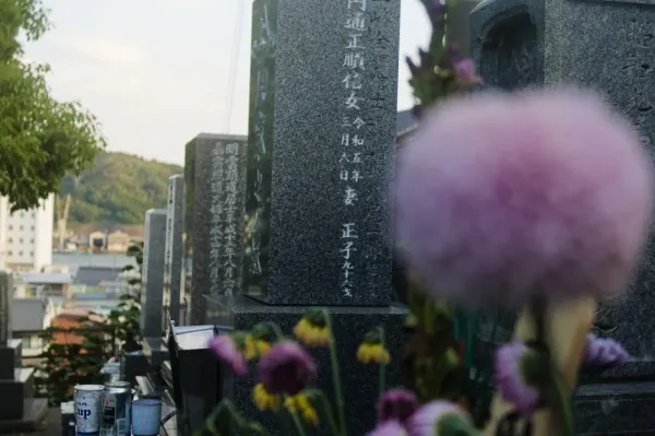Do Cemeteries Allow QR Codes on Graves memorial guidance image Evaheld Memorials — featured visual for Do Cemeteries Allow QR Codes on Graves? by Evaheld Memorials