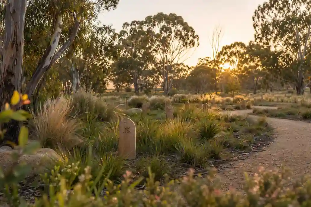 Green burial cemetery near you in a natural Australian landscape for Evaheld Memorials — featured visual for How to Find a Green Burial Cemetery Near You by Evaheld Memorials